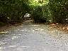 may24b-012.jpg